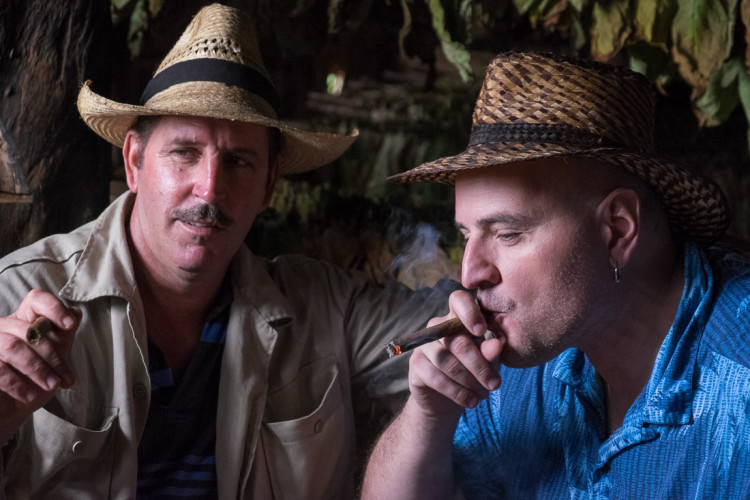 lightroom preset after photo showing presets applied