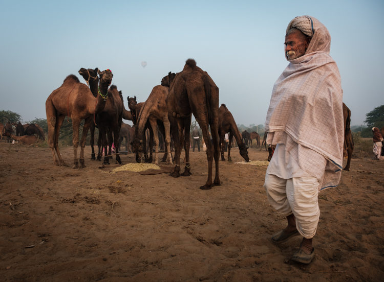 20161108 India Pushkar 451 Edit