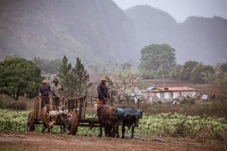 after preset applied using Lightroom