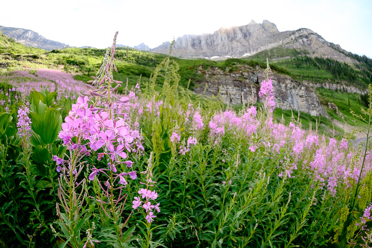 5 benefits learning portrait photography 51