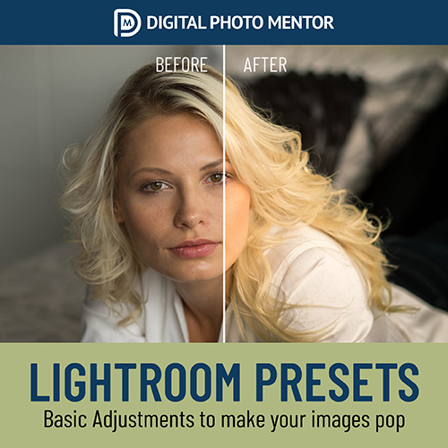 510109 Adobe Lightroom Presets featured images various