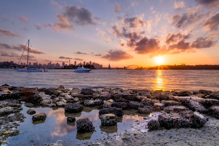 the setting sun lights up this wide angle landscape photo showing a harbour with boats and city skyline for golden hour