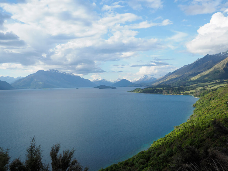landscape photo of a lake with green coastline and mountains in the distance but unwanted tree branches