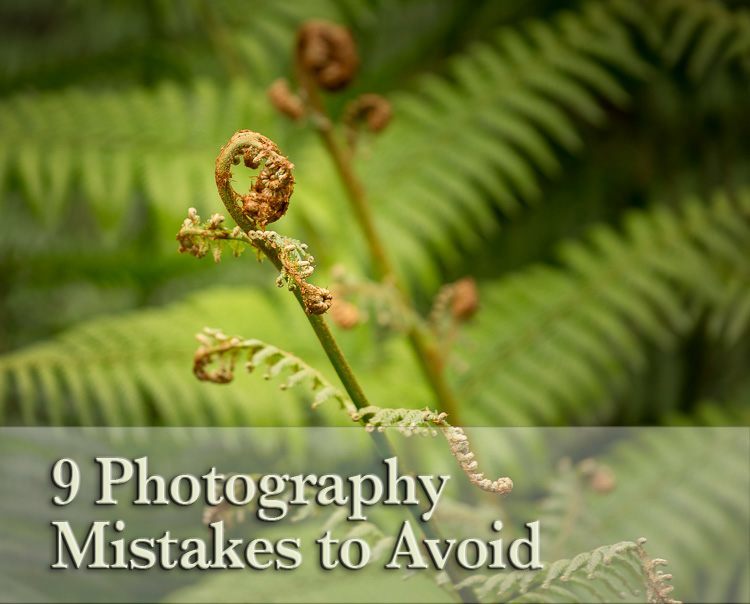 beginner photography mistakes featured