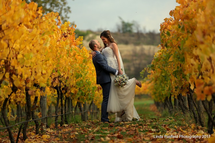 bride and groom photographed among the vineyard vines showing fall colors