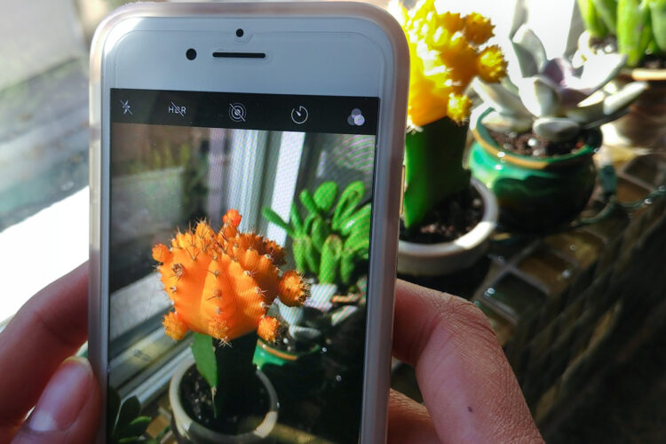 CELL PHONE PHOTOGRAPHY TIPS CELL PHONE PHOTO