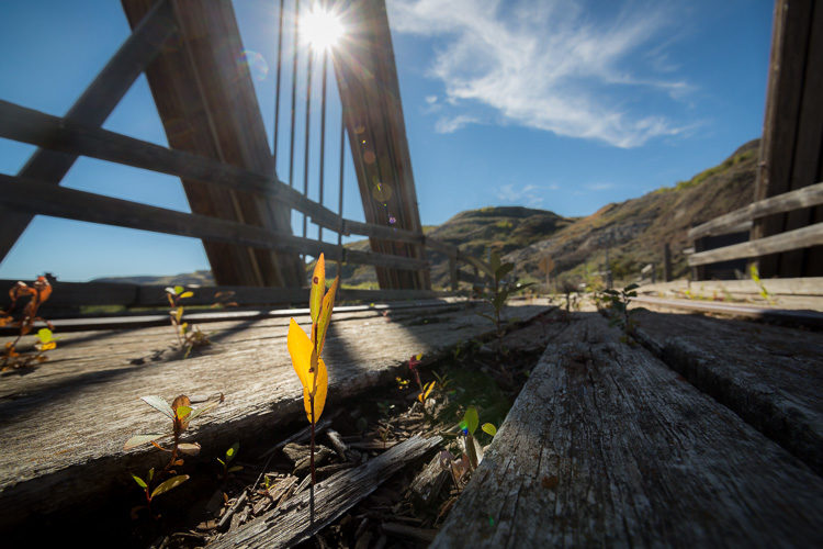 4 Tips for Creating Depth and Dimension in Your Images