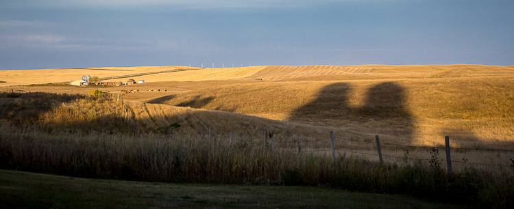 cropping tips after 10