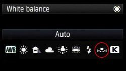 custom-white-balance-canon.jpg Custom white balance canon