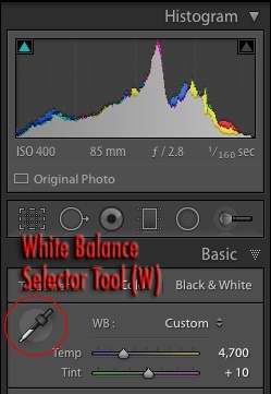 custom-white-balance-selector-tool.jpg Custom white balance selector tool