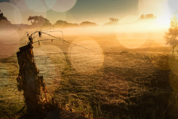landscape photo looks great with bokeh background applied