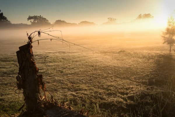 landscape photo without bokeh