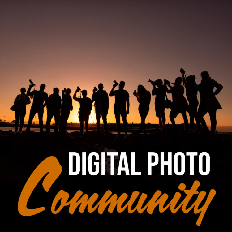 dpm community 1000x1000 1