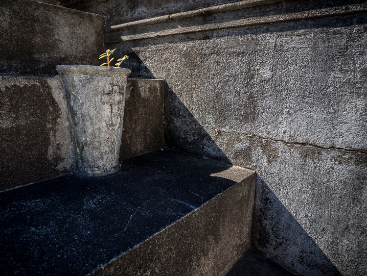 Dramatic images using shadows 750px 29