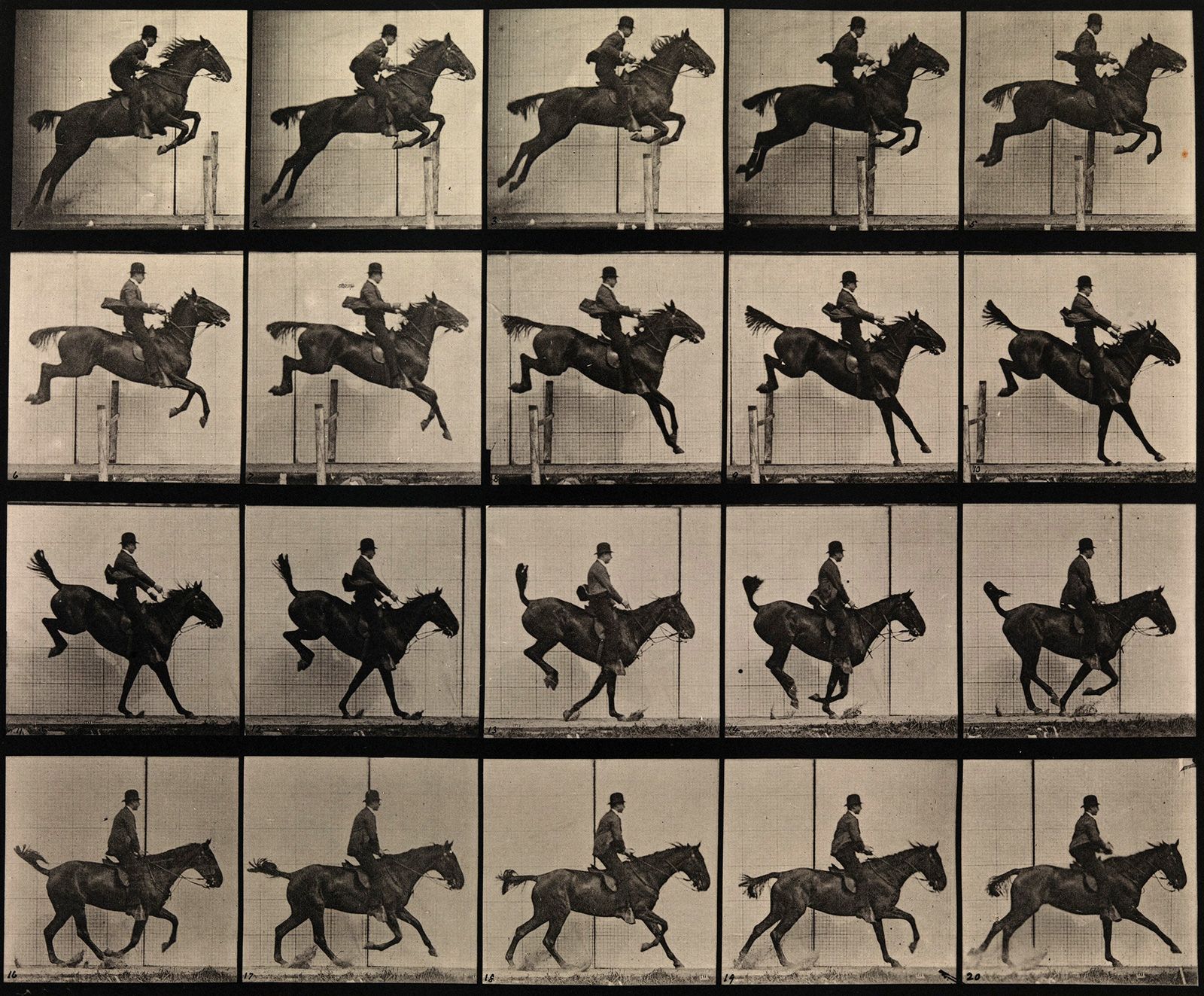 Sequence of a horse jumping, 1887 by Eadweard Muybridge