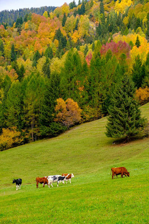 Keep your eyes open for wildlife and other photographic opportunities