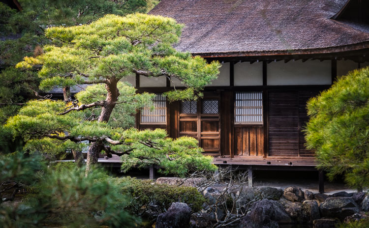 fireside chat travel photography Darlene 05