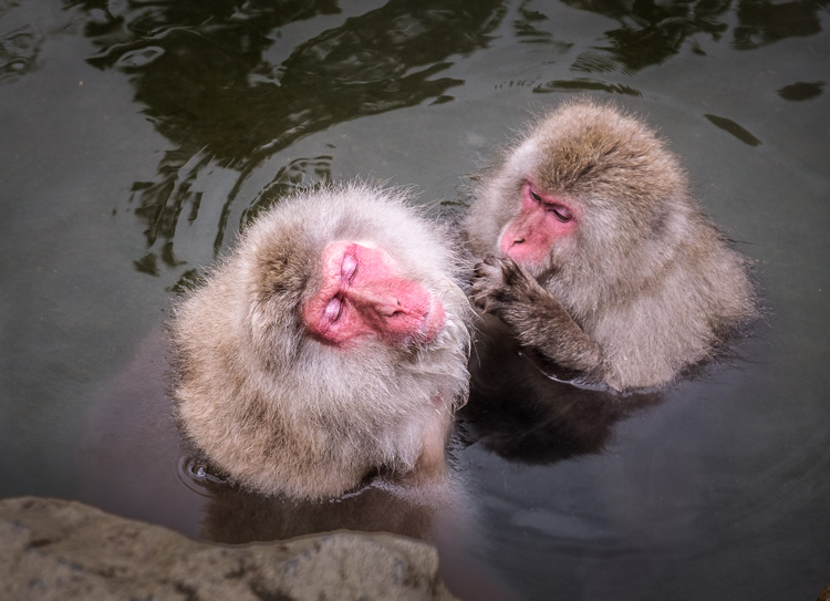 fireside chat travel photography Darlene 07