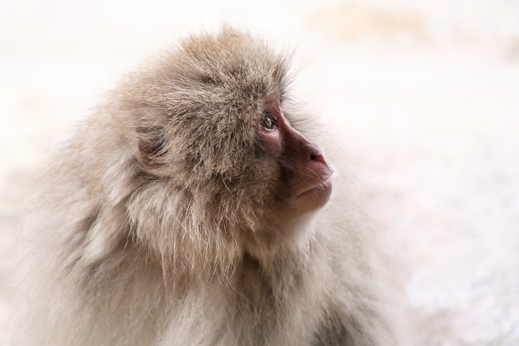 fireside chat travel photography Darlene 09