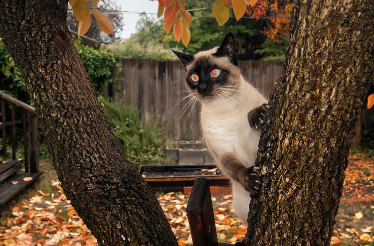 flash mistakes red eye