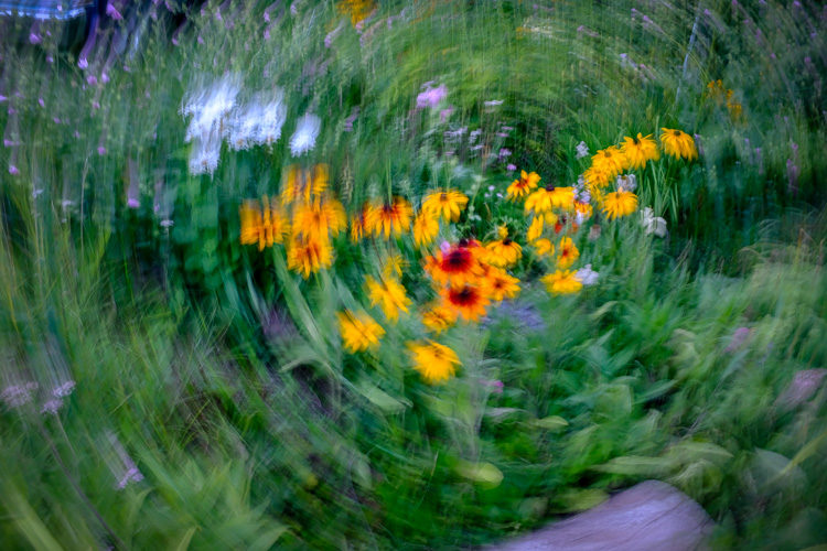 Fuji X100F Review 10