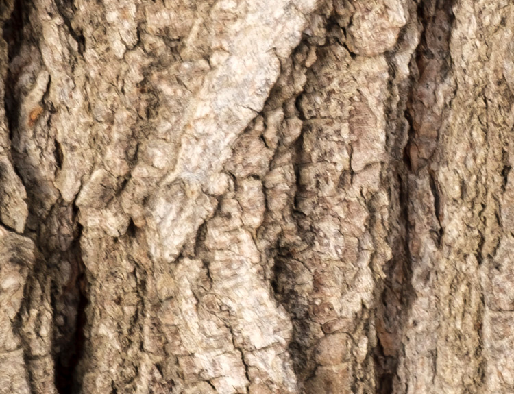 fujifilm 16 55mm lens review 26