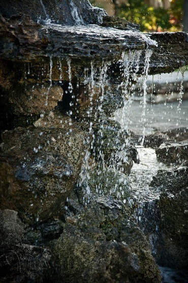 Hawaii2012 01919 blog1100