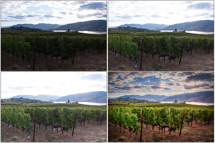 Three handheld bracketed HDR shots of vineyard and lake