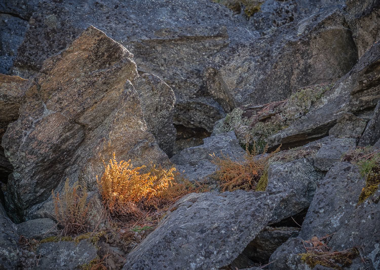 HDR photo with shadows lifted causing subject to blend into background