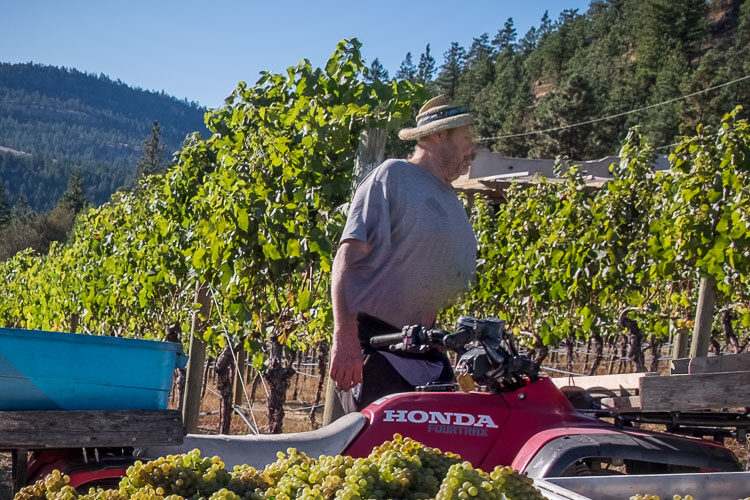 HDR image with ghosting artifacts distorting person’s face and body