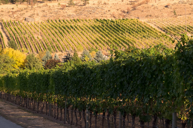 Unedited RAW photo of high contrast scene lacking clear focal point