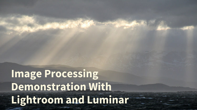 Image Processing Demonstration Using Lightroom and Luminar