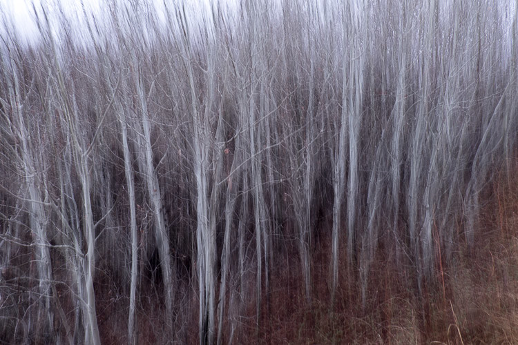 intentional-blur-750px-05