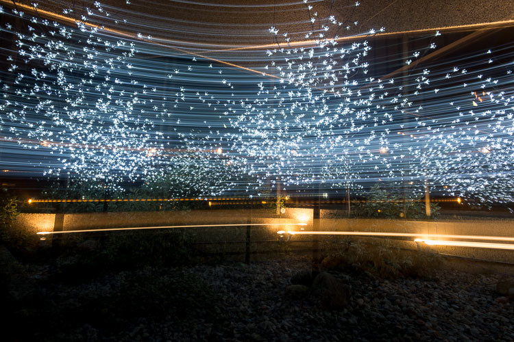 intentional-blur-750px-06