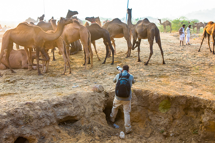 photographer and a group of camels - beginner photographer tips