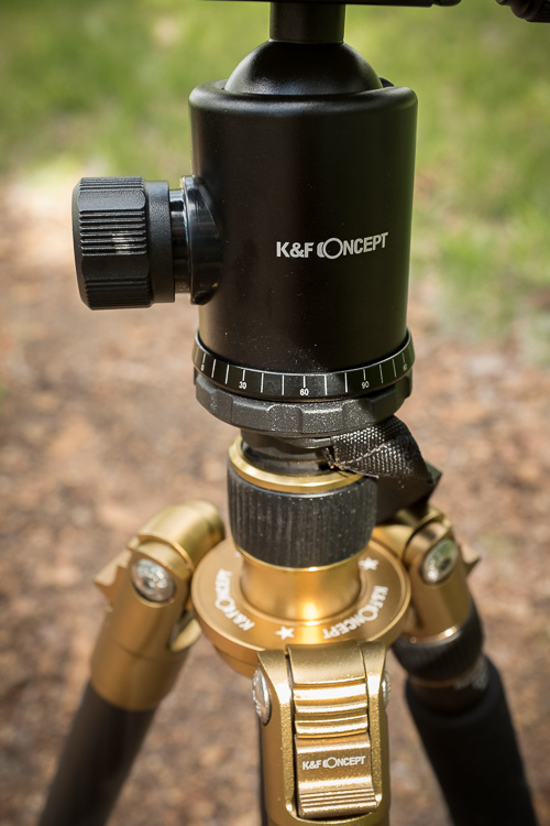 Tripod Review - the K&F Concept TC2534 Carbon Fiber Tripod