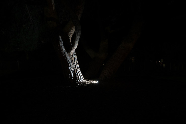 focusing your camera on the subject at night, focus where the subject is lit