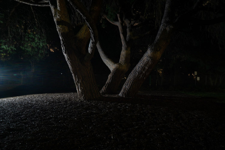 example image of subject lit from the the back pointed towards the camera