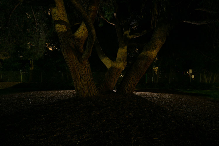 example photo showing a backlit subject looking silhouetted