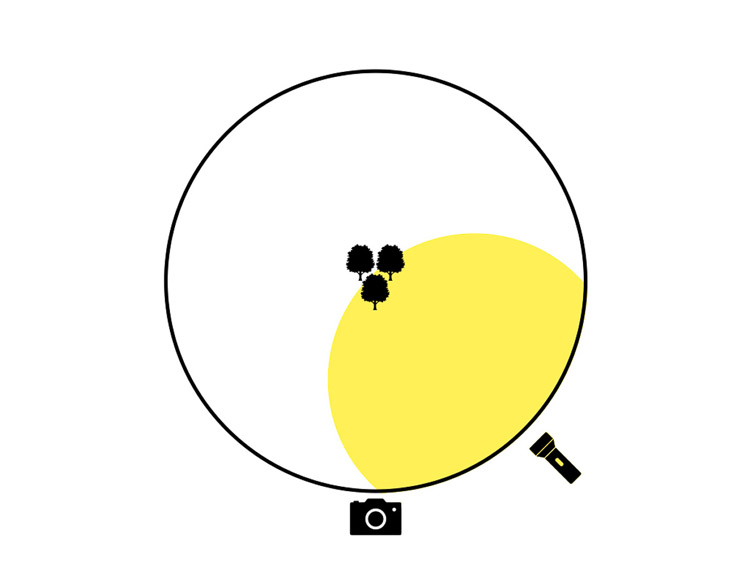 lighting diagram showing sweeping of light in the foreground but at 45 degrees to the right lighting a different section of the photo