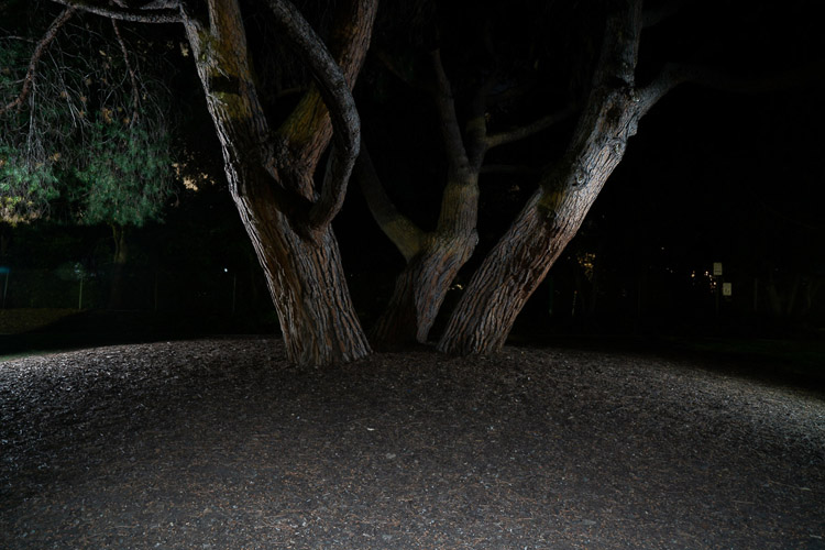 composite photo of all shots combined using a photo editor like photoshop