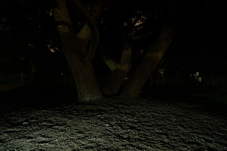 example photo showing the foreground lit up with the light