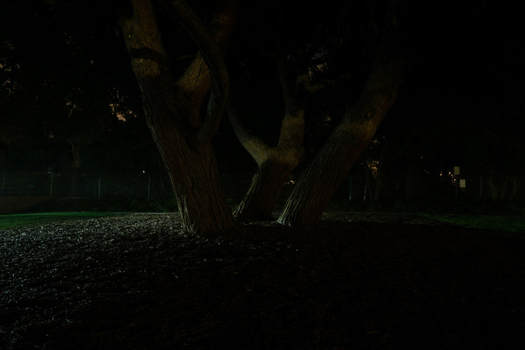 example painting with light photo