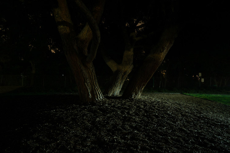 example photo of light painting