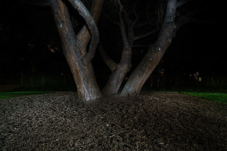 final composite photo of entire scene painted with light, edited together with photoshop or other photo editing software