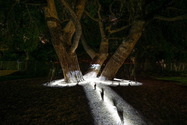 creative light painting photo created by walking through the scene with flashlight