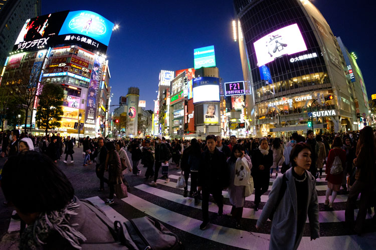 Lightroom graduated filter 01