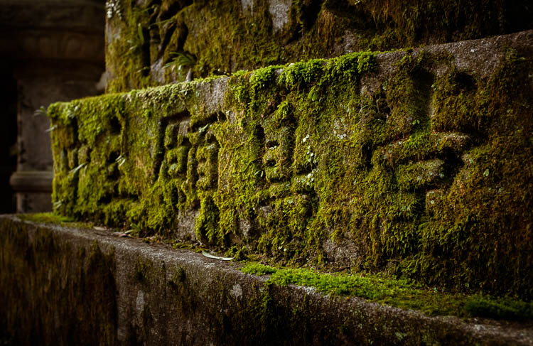 lightroom update version 12 01