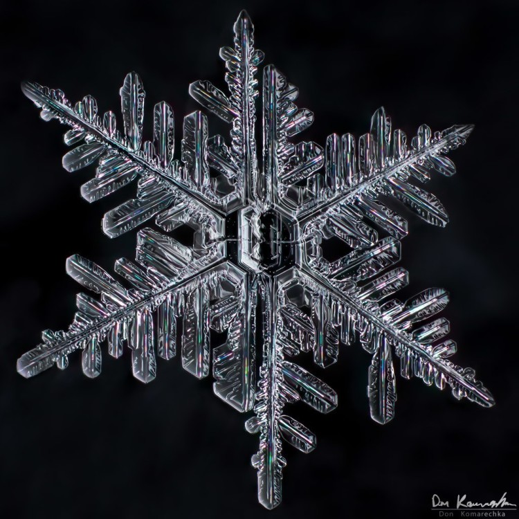 macro photo of snowflake featured