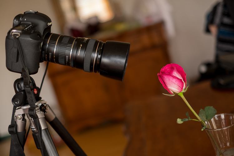 Macro photography extension tubes 750px 06